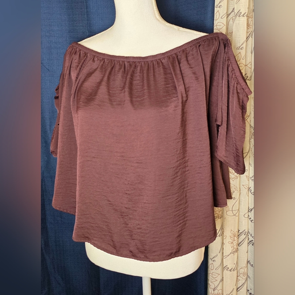 American Eagle Outfitters Brown Ruffled 3/4 Sleeve Blouse XL Offshoulder